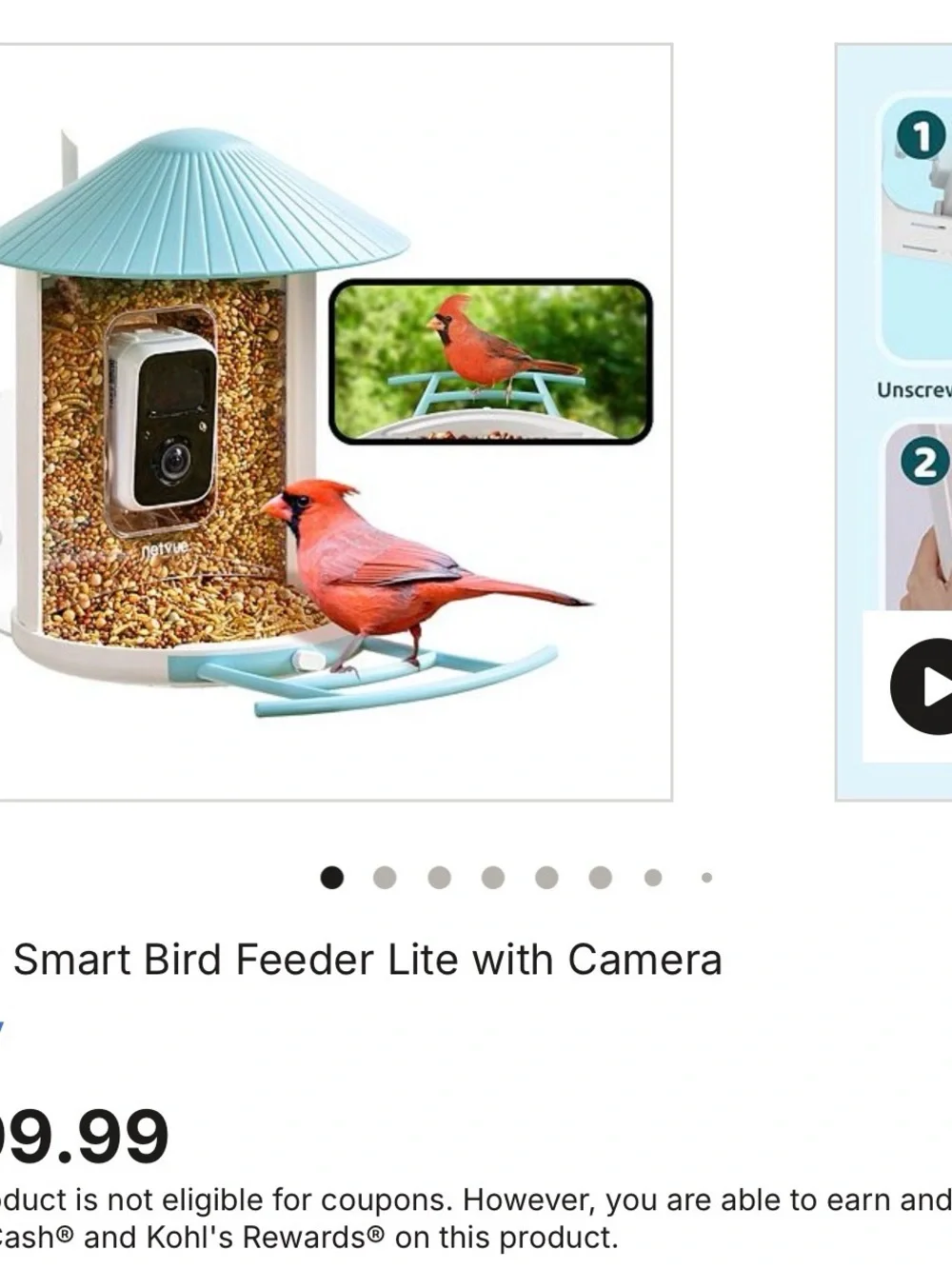 Birdfy Smart Bird Feeder Camera AI Recognition